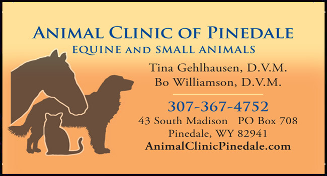 Animal Clinic of Pinedale