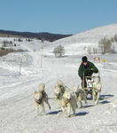Sled dog teams race in the Upper Green