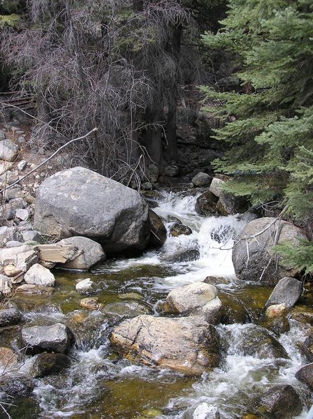 Half Moon Creek. Photo by Pinedale Online.