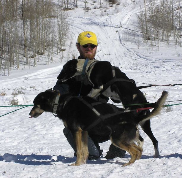 Holding the dogs. Photo by Dawn Ballou, Pinedale Online.