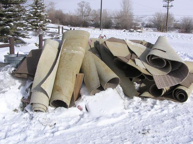 Ruined carpet. Photo by Pinedale Online.