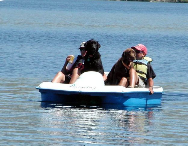 Paddle boat. Photo by Pinedale Online.