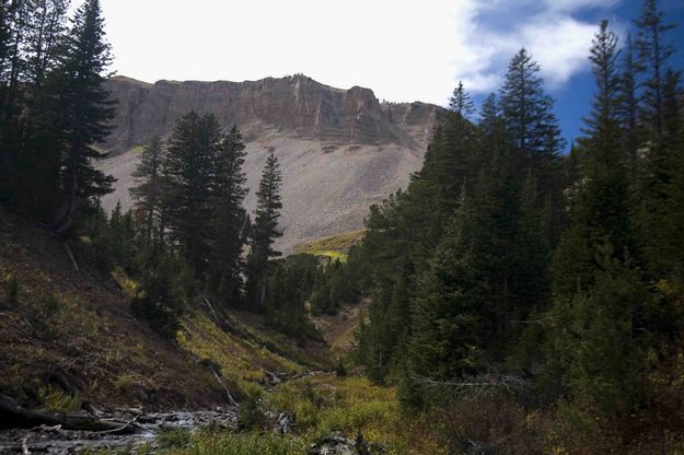 Mt Coffin Cliffs. Photo by Dave Bell.