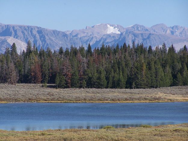 Mosquito Lake. Photo by Scott Almdale.