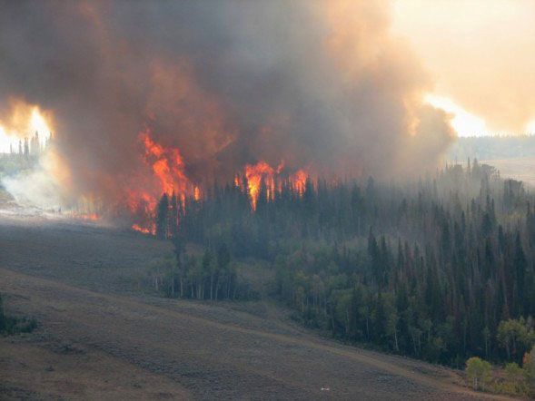 Burning Tree Islands. Photo by Kenna Tanner.