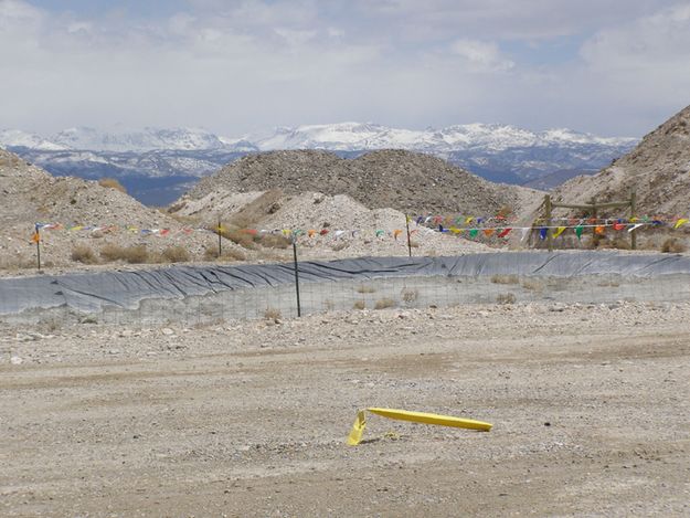 On the Anticline. Photo by Sue Sommers.