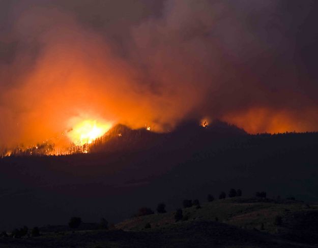 Flames on Pine Mountain. Photo by Dave Bell.