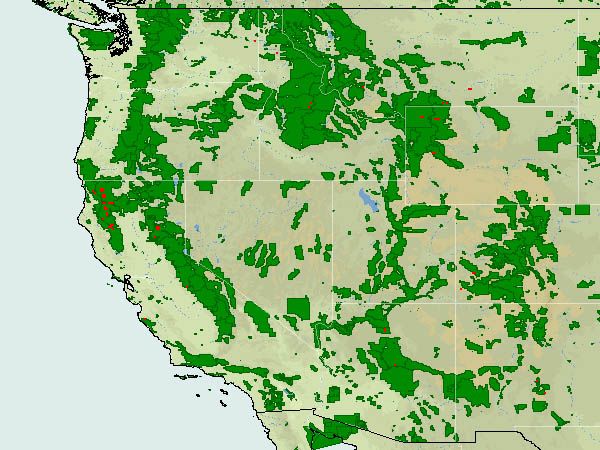 Area Wildfires - August 1 2008. Photo by MODIS Rapid Response.