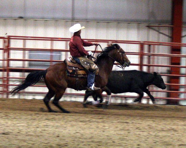 Fence  Control. Photo by Clint Gilchrist, Pinedale Online.