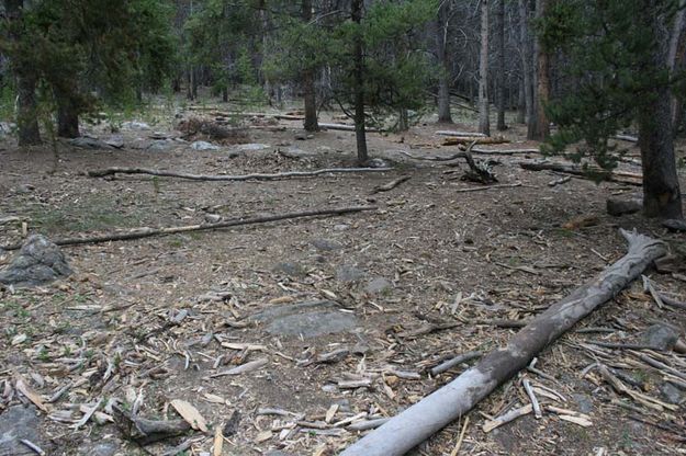 Kiddie Village after. Photo by Dawn Ballou, Pinedale Online.