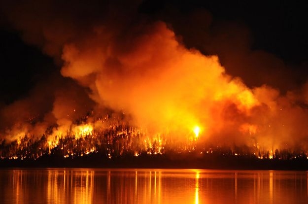 Firestorm. Photo by Chris Havener.