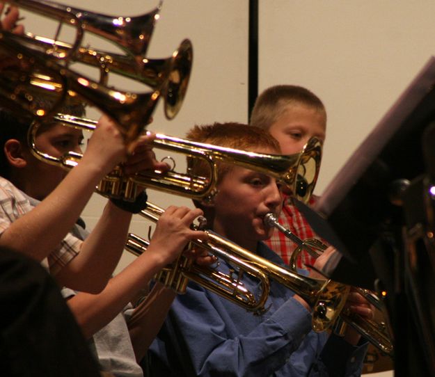 Brass. Photo by Pam McCulloch, Pinedale Online.