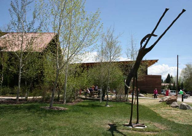 Bucking Horse. Photo by Dawn Ballou, Pinedale Online.