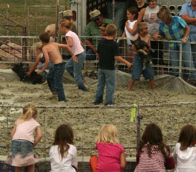 In the Mud. Photo by Dawn Ballou, Pinedale Online.