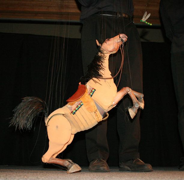 The horse and the dragonfly. Photo by Dawn Ballou, Pinedale Online.