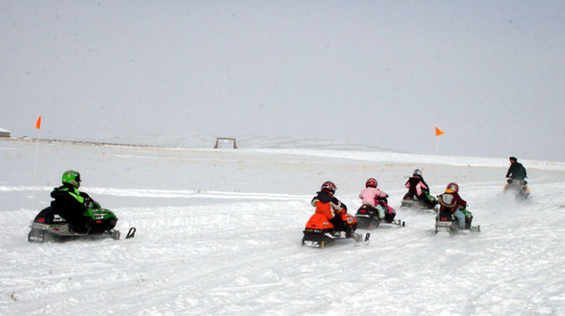 Follow the leader. Photo by Dawn Ballou, Pinedale Online.