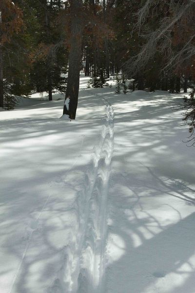 Single Track. Photo by Dave Bell.