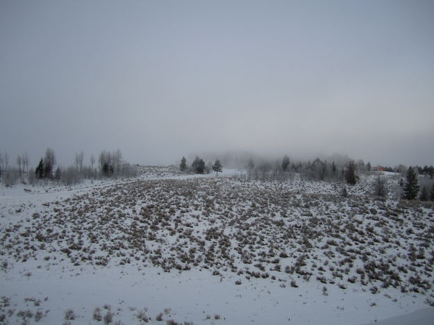 Fog. Photo by Bill Winney.