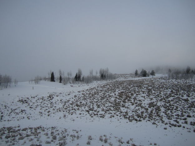 Fog. Photo by Bill Winney.