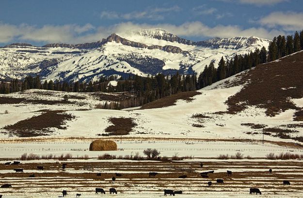 Spring in Bondurant. Photo by Dave Bell.