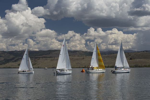 Sailboat race. Photo by Arnold Brokling .