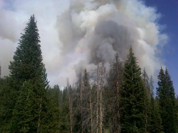 Packer Creek Fire. Photo by Bridger-Teton National Forest.