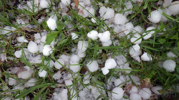 Hail. Photo by Kathy Raper.