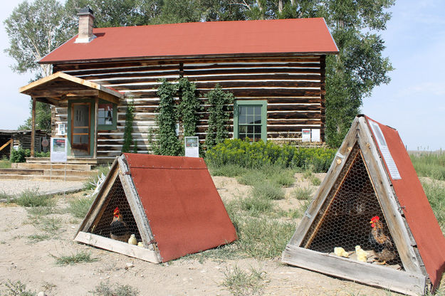 Homestead. Photo by Pinedale Online.