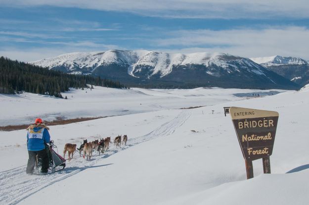 Bridger National Foerst. Photo by Chris Havener.