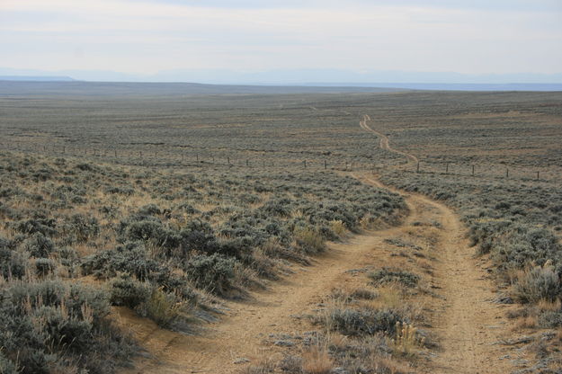 Lander Trail. Photo by Dawn Ballou, Pinedale Online.