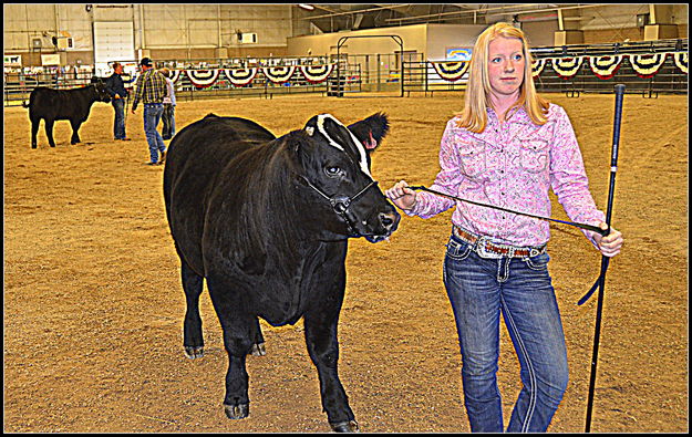 Beef Sale. Photo by Terry Allen.