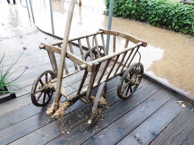 Wagon. Photo by Dawn Ballou, Pinedale Online.