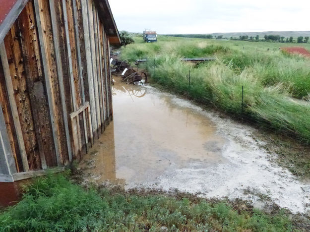 Behind Garage. Photo by Dawn Ballou, Pinedale Online.