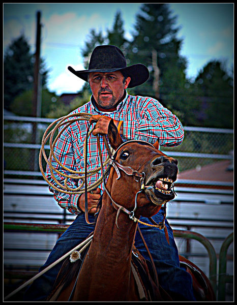 Mr. Serious. Photo by Terry Allen.