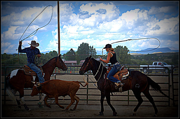 Team Roping. Photo by Terry Allen.