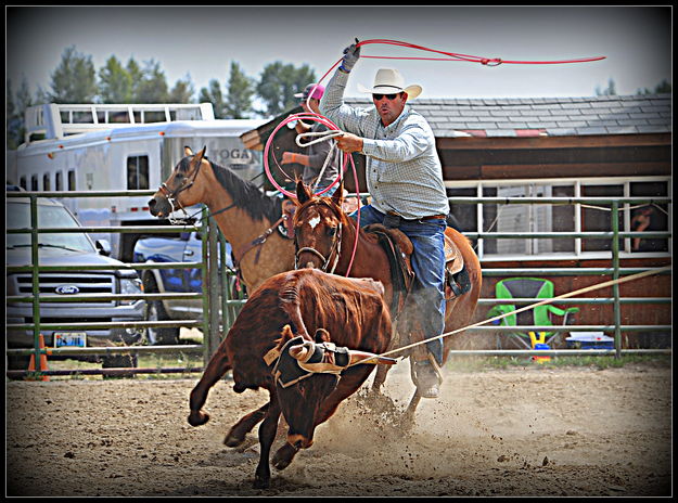 Hard Left. Photo by Terry Allen.