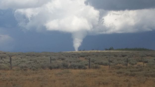 White Tornado. Photo by Randy Foster.