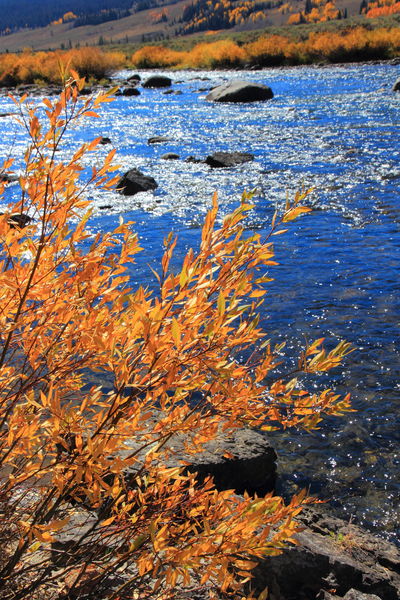 Green River. Photo by Fred Pflughoft.