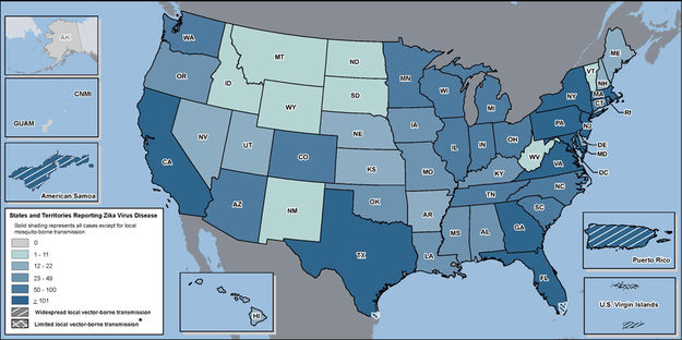 Zika virus in the US. Photo by Centers for Disease Control & Prevention.