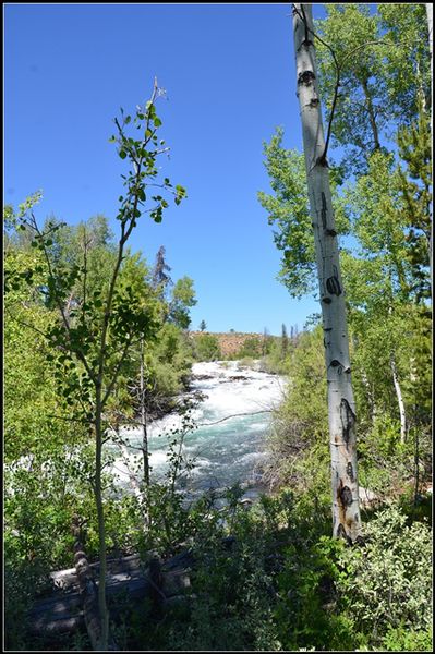 Pine Creek Falls. Photo by Terry Allen.