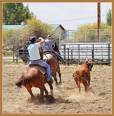 Head and Heel. Photo by Terry Allen.