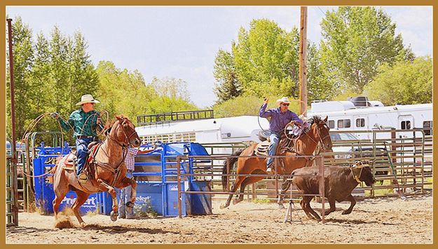 Leaving the Chute. Photo by Terry Allen.