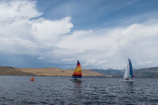 Regatta. Photo by Rita Donham.