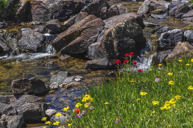 No Name Creek. Photo by Dave Bell.