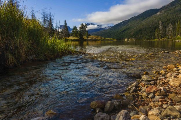 Mill Creek. Photo by Dave Bell.