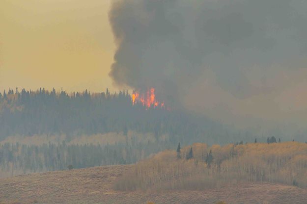 Burning trees. Photo by Dave Bell.