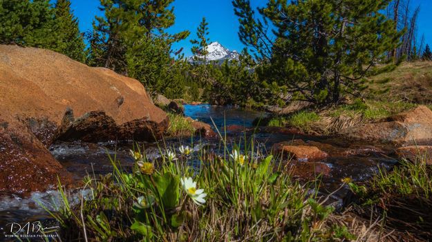 Mt. Geikie. Photo by Dave Bell.