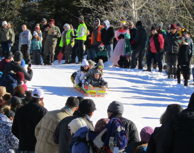 Sled run. Photo by Dawn Ballou, Pinedale Online.