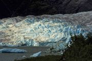 Mendenhall Glacier Blue Ice. Photo by Dave Bell.