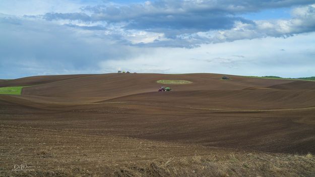 Huge Field. Photo by Dave Bell.